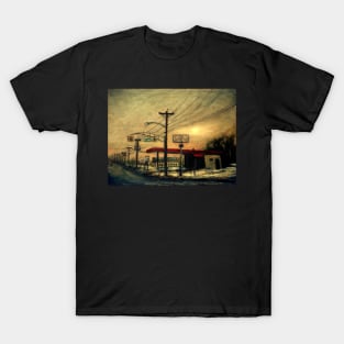 Setting Sun in Edgewater Park - "Wired" Series T-Shirt